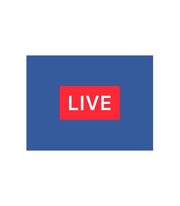 Live Harga 440